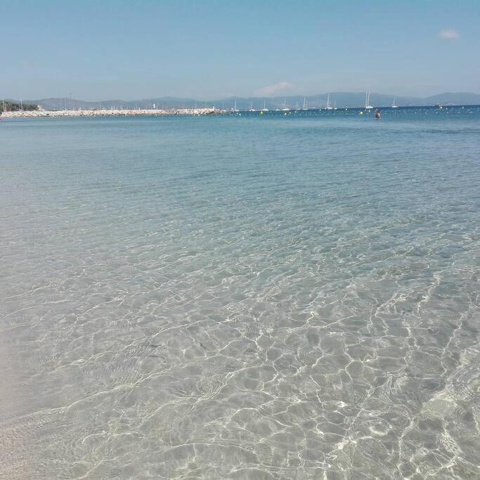 Studio Hyeres Port Et Iles D'Or. Ngoại thất bức ảnh