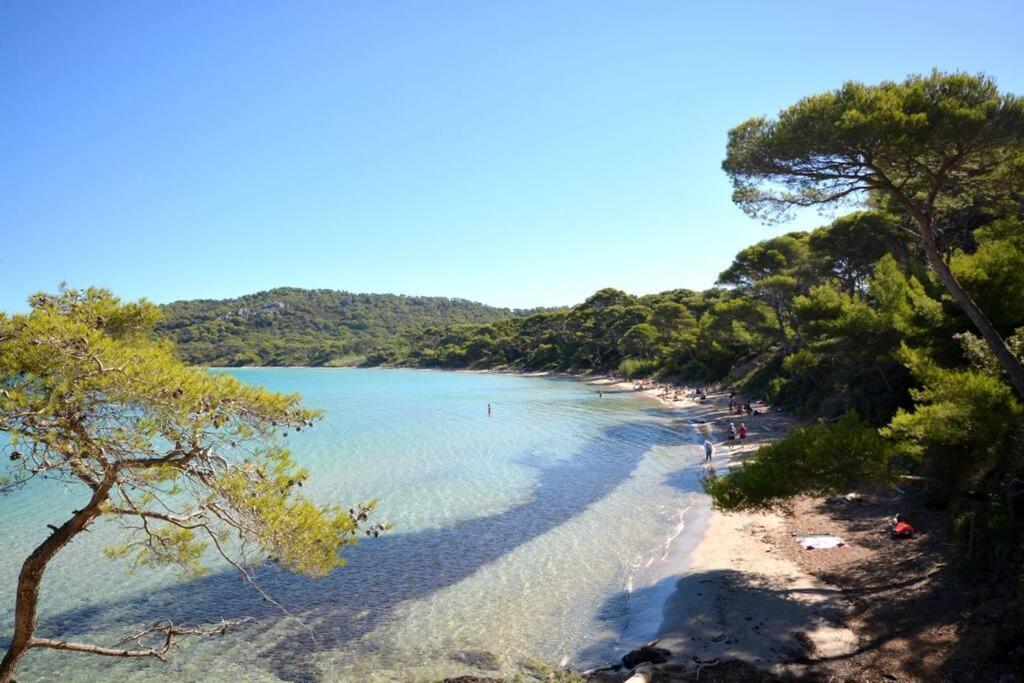 Studio Hyeres Port Et Iles D'Or. Ngoại thất bức ảnh