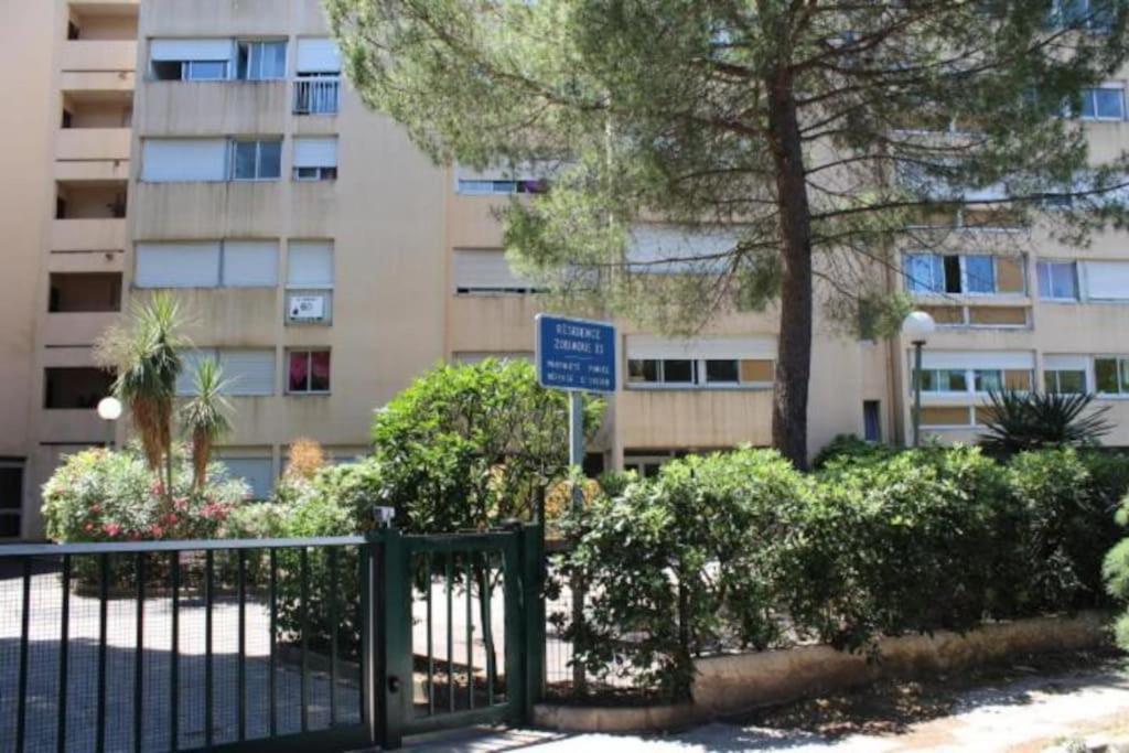 Studio Hyeres Port Et Iles D'Or. Ngoại thất bức ảnh