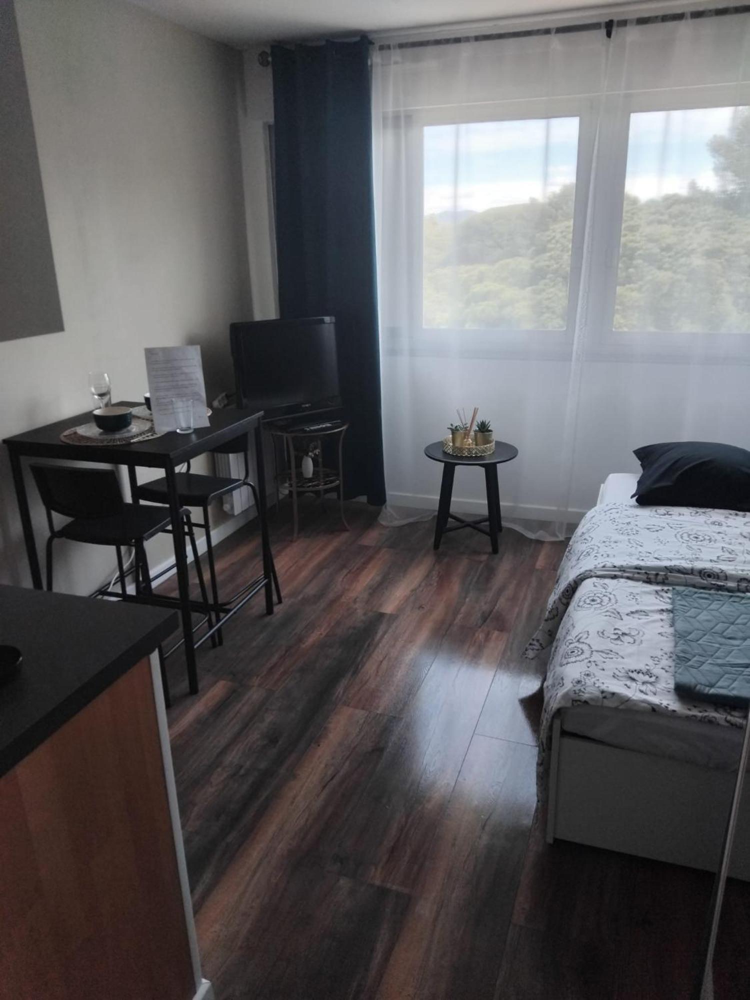 Studio Hyeres Port Et Iles D'Or. Ngoại thất bức ảnh