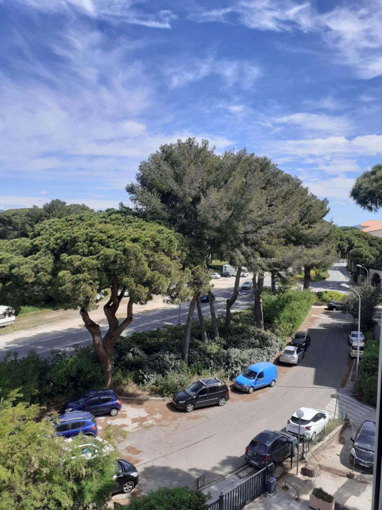 Studio Hyeres Port Et Iles D'Or. Ngoại thất bức ảnh