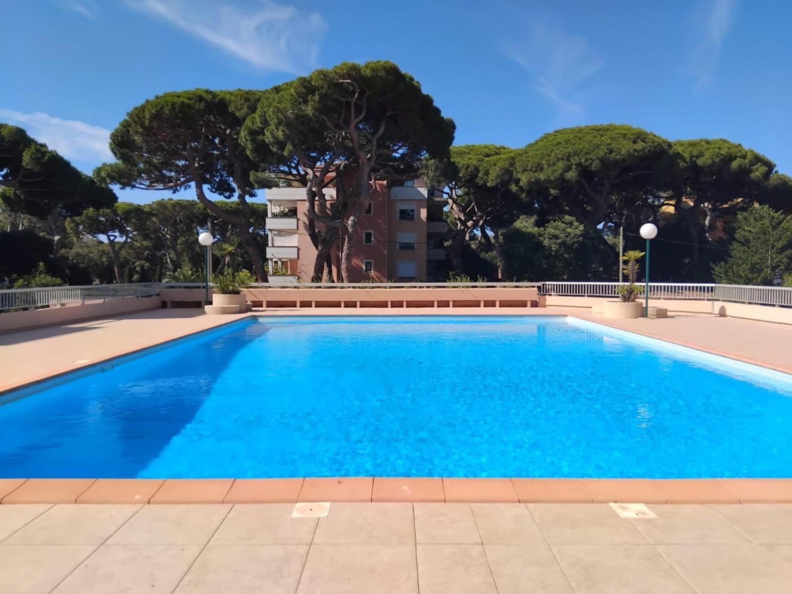 Studio Hyeres Port Et Iles D'Or. Ngoại thất bức ảnh